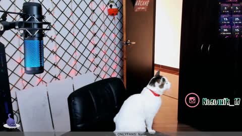 Snapshot of yoshino_san chatting on January 16, 4:18 pm you can call me Andy or yoshi 3 online show from January 16, 4:18 pm