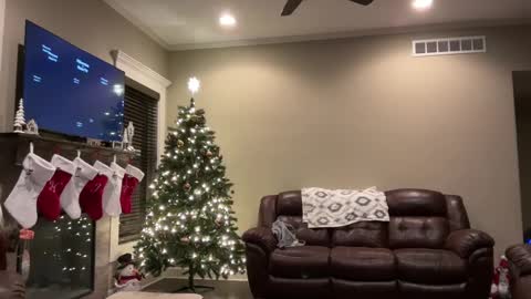 Snapshot of yourstrulylivy chatting on December 11, 1:26 am yourstrulylivy online show from December 11, 1:26 am