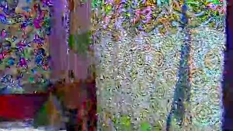 zarinamarlin online show from April 9, 7:03 am