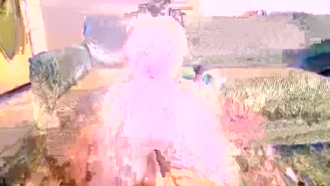 zcs2022 online show from November 8, 5:12 am