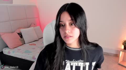 Snapshot of zoe_blake18 chatting on January 31, 12:17 am Zoe online show from January 31, 12:17 am