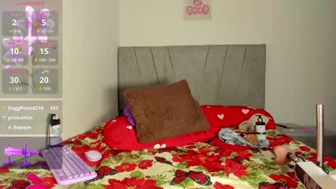 zule online show from November 29, 11:03 am