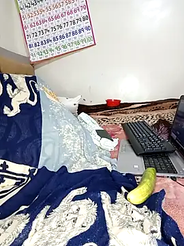 elema toto23 online show from September 24, 11:04 pm