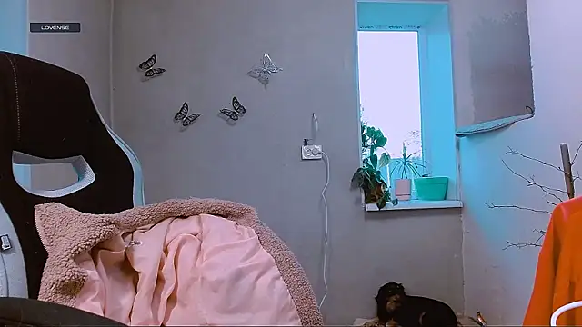 RosaJil online show from March 25, 4:10 pm