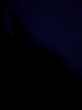 stefanie010 online show from March 19, 11:36 am