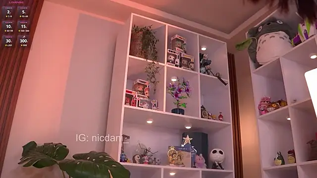 nicdani 1 online show from July 21, 12:44 am