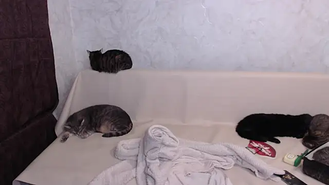 Olivia Winston online show from November 23, 12:13 am