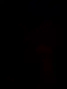 Phattpinktaco online show from January 10, 7:24 am