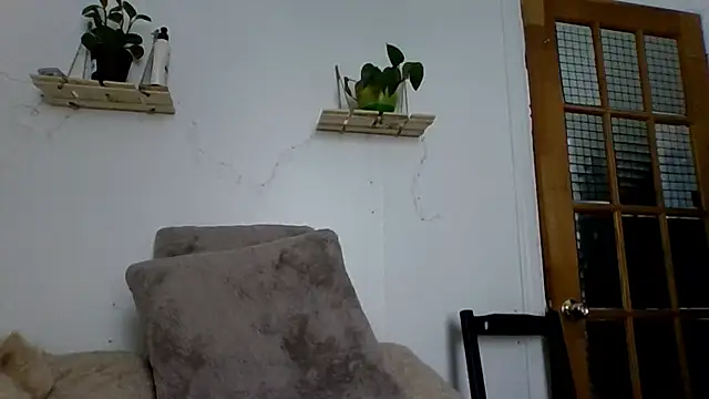 cuteFoxi online show from December 16, 4:24 pm