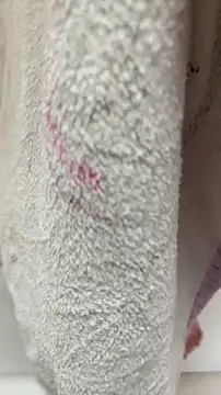 czruz online show from October 16, 7:16 pm