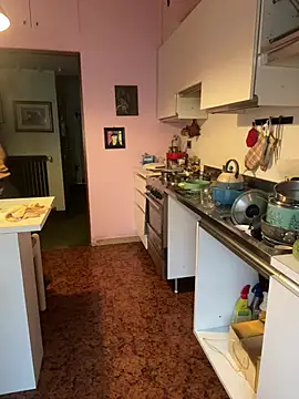 Sunbelxx online show from April 13, 7:53 am