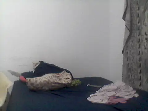 Snapshot of mariy_ chatting on October 16, 12:35 am mariy online show from October 16, 12:35 am