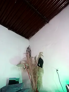 lovely kitt online show from March 14, 4:02 am