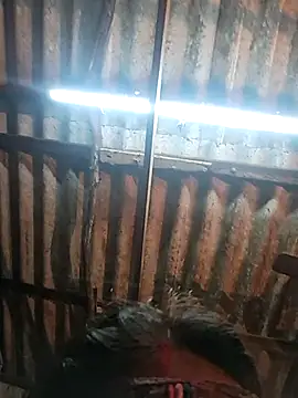 HotSexyBoudi online show from January 8, 9:35 am