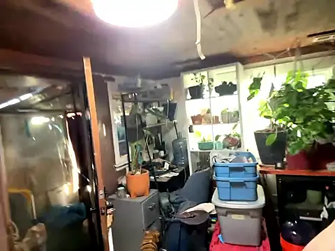 trash4cash online show from January 13, 10:03 pm