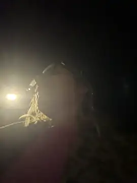 casalinga88 online show from November 18, 5:47 pm