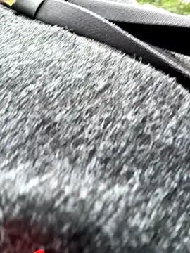 eveangelll online show from October 12, 7:11 am