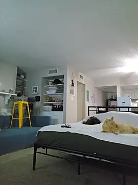 honeeyyy pot online show from January 10, 4:17 am