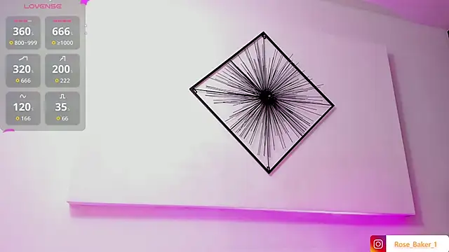 Rose baker  online show from November 13, 9:47 pm