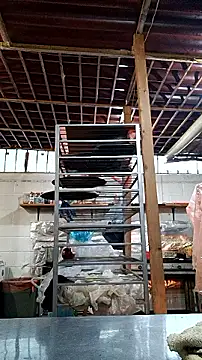 charlott ponce online show from January 14, 11:32 pm