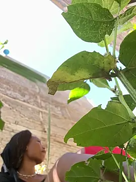 NASTY BOBO online show from February 4, 12:52 pm