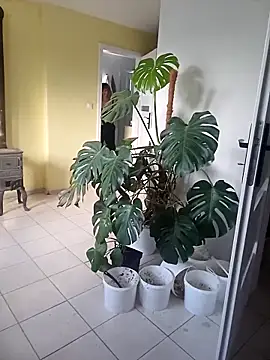 Tortuga95PL online show from February 2, 1:43 pm