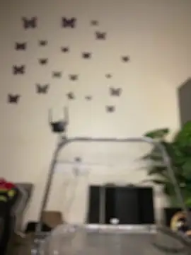 zonroe the big online show from April 5, 6:56 am