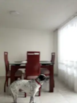 Salome golvert online show from February 10, 3:59 pm