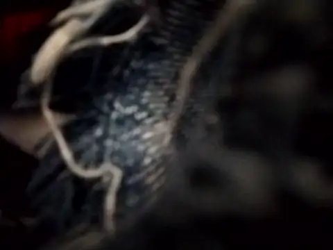 rebekka simpson online show from March 11, 1:36 pm