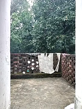 Miss Ayesha online show from October 31, 3:30 am