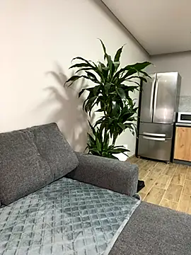 zarina3003 online show from November 23, 7:48 pm