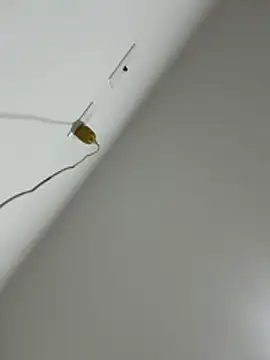 Snapshot of Amber_Rush_ chatting on October 16, 3:31 am Amber Rush  online show from October 16, 3:31 am