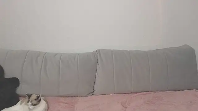 VikiSea online show from November 1, 7:40 pm