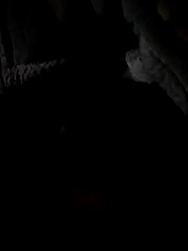 OrgyQueen online show from July 15, 4:39 am