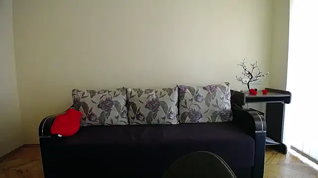 Pretty shy online show from October 27, 8:54 am