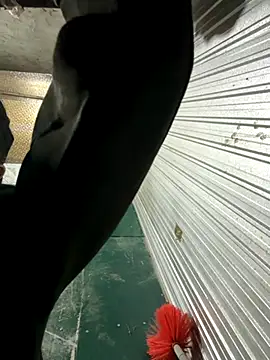 Tina 995 online show from December 5, 8:37 am