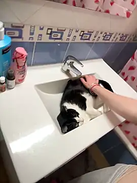 Piinkpandora online show from March 25, 9:50 pm