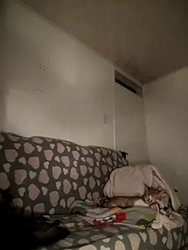 Khalyk G online show from September 11, 7:20 am