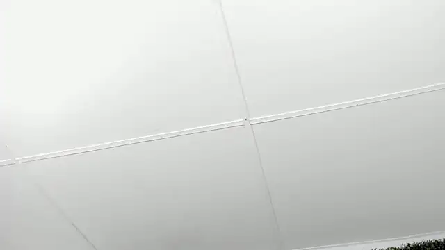 valentina 0  online show from December 4, 3:53 am