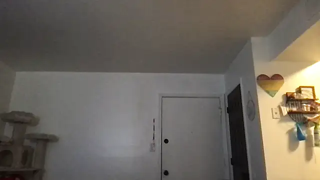 SpunCandy online show from January 17, 3:19 pm