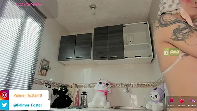 Palmer-Foster online show from September 9, 9:03 pm