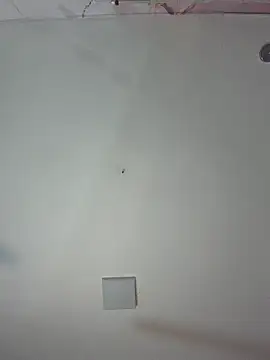 kiim taaylor online show from February 25, 11:31 am