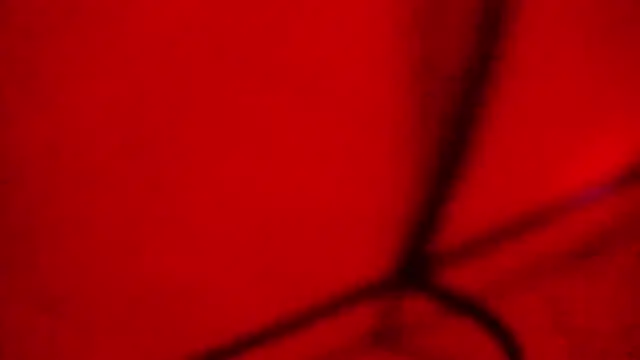 Nathaly love96 online show from January 17, 9:00 pm