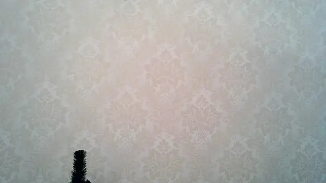 Kashtanka  online show from January 17, 10:56 am