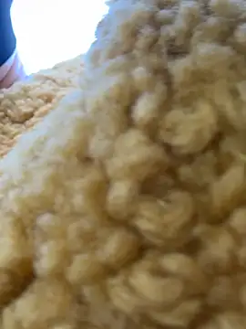 StarlitUnicorn online show from February 25, 7:29 am