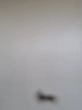 BriannaVincent online show from January 7, 5:00 am