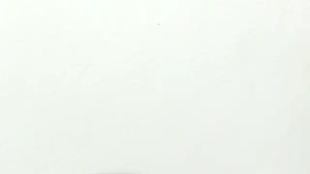 Snapshot of Dalia_20 chatting on September 15, 12:41 am Dalia 20 online show from September 15, 12:41 am