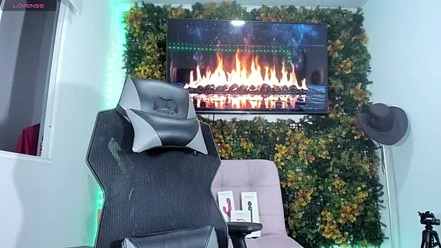 emily palmeer online show from April 15, 8:37 am