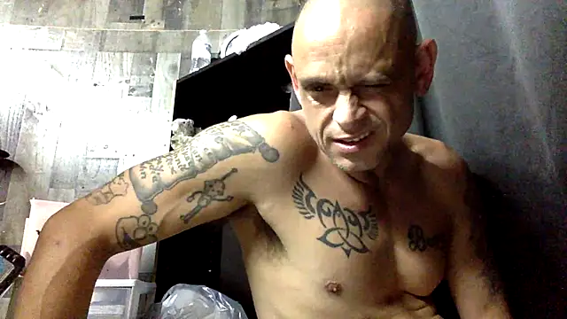 Buffshagswell online show from October 9, 8:40 am