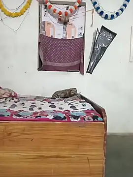 Lily Baby  online show from November 29, 1:04 pm